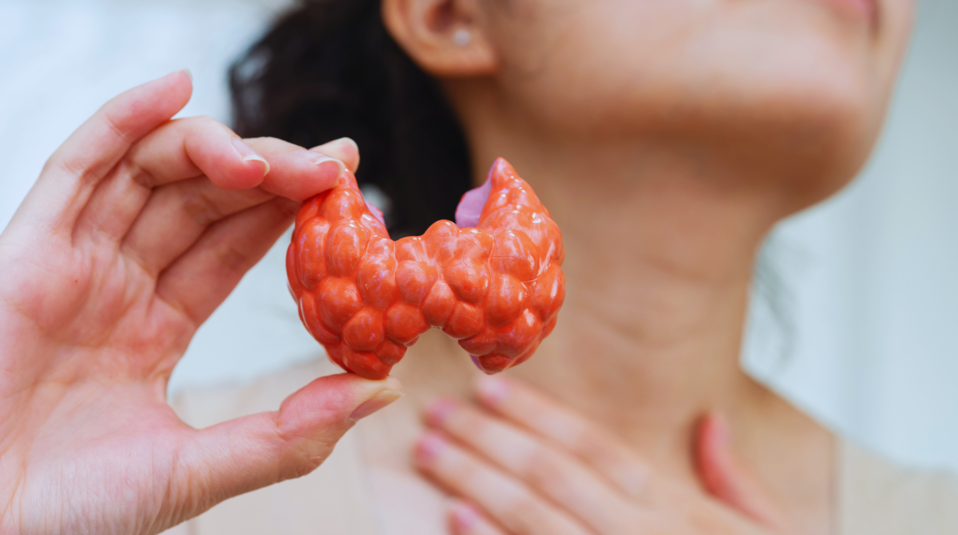 Conocé tu tiroides: pequeña pero fundamental