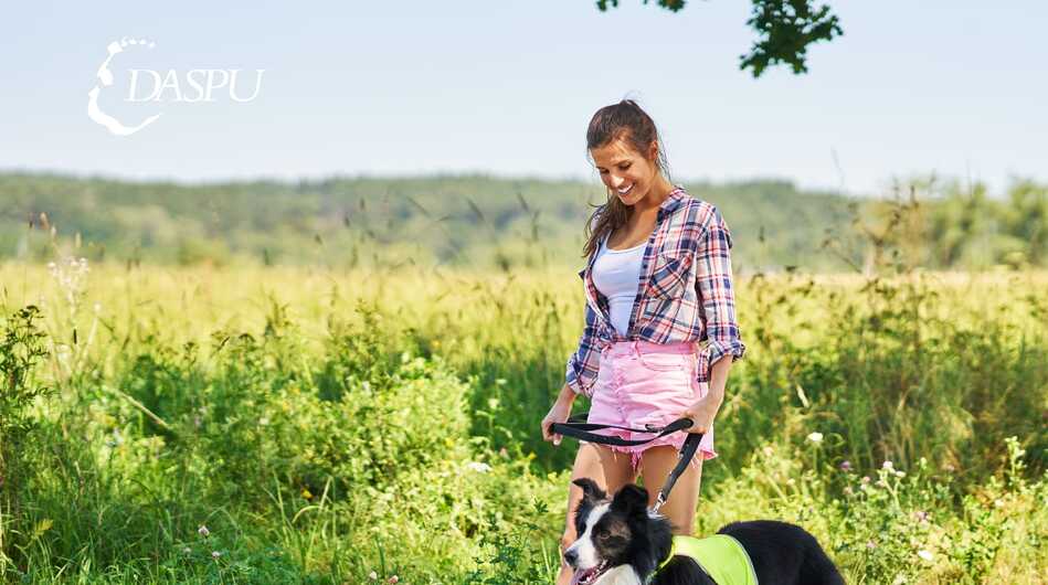 Recomendaciones para evitar picaduras de animales ponzoñosos